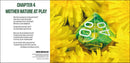 DICE - Rendezvous with Randomness - Modiphius Entertainment