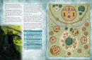 A Faeseeker's Guide to Avallen - Sourcebook PDF