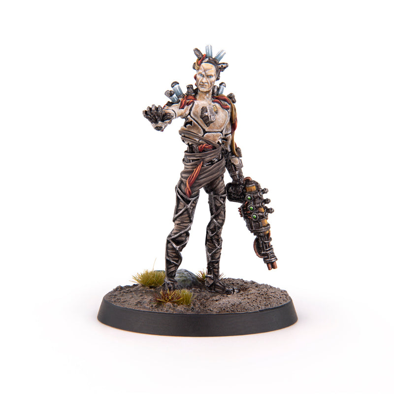 Fallout: Miniatures - Institute - Arcadia Renegades