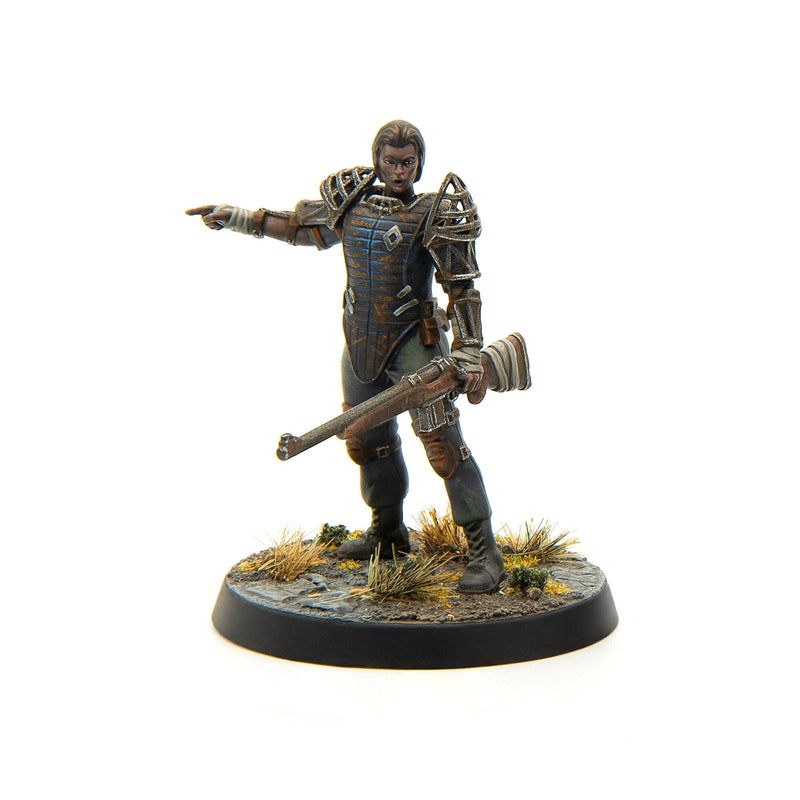 Fallout: Wasteland Warfare - Survivors Boston Companion (Inglés Fallout: Wasteland Warfare - Survivors Boston Companion (Inglés