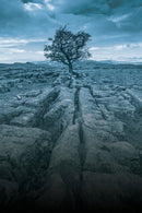 Liminal Casebook (PDF)