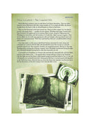 Liminal Casebook (PDF)