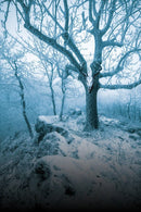 Liminal Casebook (PDF)